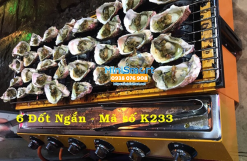 Bếp nướng thịt dùng gas 6 đầu đốt ngắn Eton K233