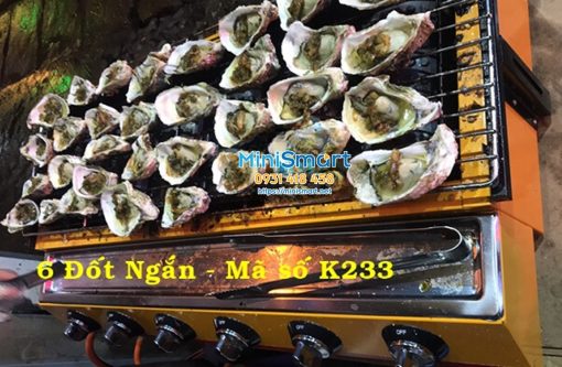 bep nuong thit dung gas 6 dau dot ngan eton k233 14 bếp nướng thịt dùng gas 6 đầu đốt ngắn