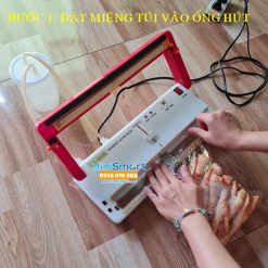 Máy hút chân không gia đình DZ300B - Hút được thực phẩm tươi sống có nước