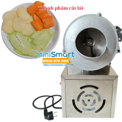 Máy cắt lát cắt sợi củ quả có thể thay dao năng suất 80kg/giờ