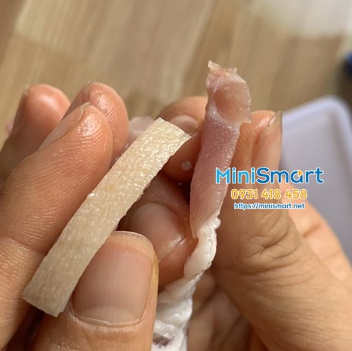 may cat thit tuoi song do day 3.5mm rs70d (1) Máy cắt thịt bò tươi sống RS-70D 3.5mm (Thịt nướng hoặc bún chả)