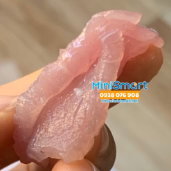 Máy cắt thịt bò tươi sống RS-70D 3.5mm (Thịt nướng hoặc bún chả)