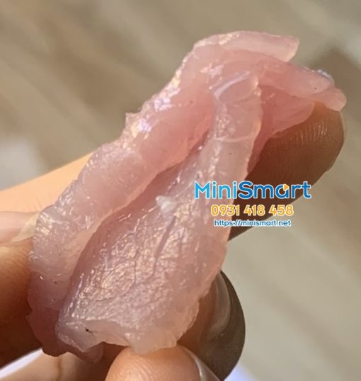 may cat thit tuoi song do day 3.5mm rs70d (3) Máy cắt thịt bò tươi sống RS-70D 3.5mm (Thịt nướng hoặc bún chả)