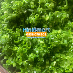 Máy cắt hành lá QS-23