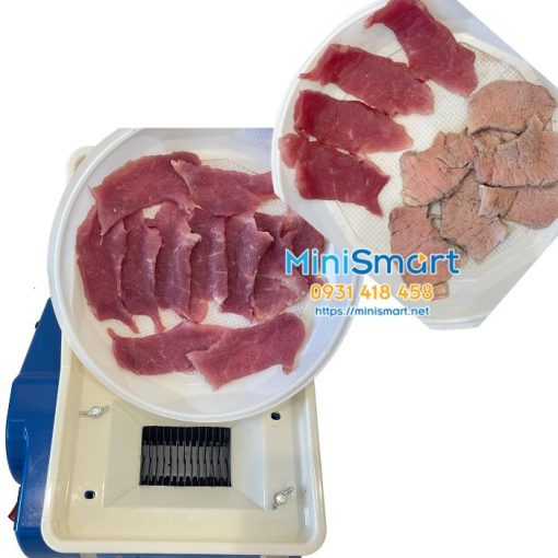 thanh pham may cat thit bo tuoi song rs70d 5.0 máy cắt thịt tươi rs70d 5li