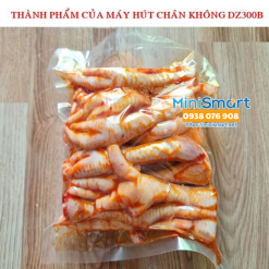 Máy hút chân không gia đình DZ300B - Hút được thực phẩm tươi sống có nước