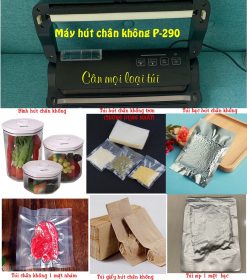 Máy hút chân không bán tự động P290 không kén túi
